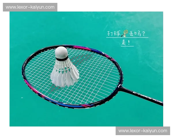 羽毛球资讯：探索羽毛球的魅力与未来趋势